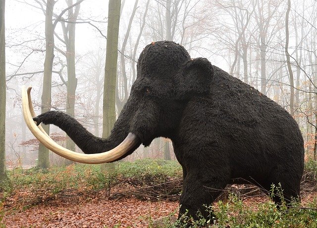 umělý mamut